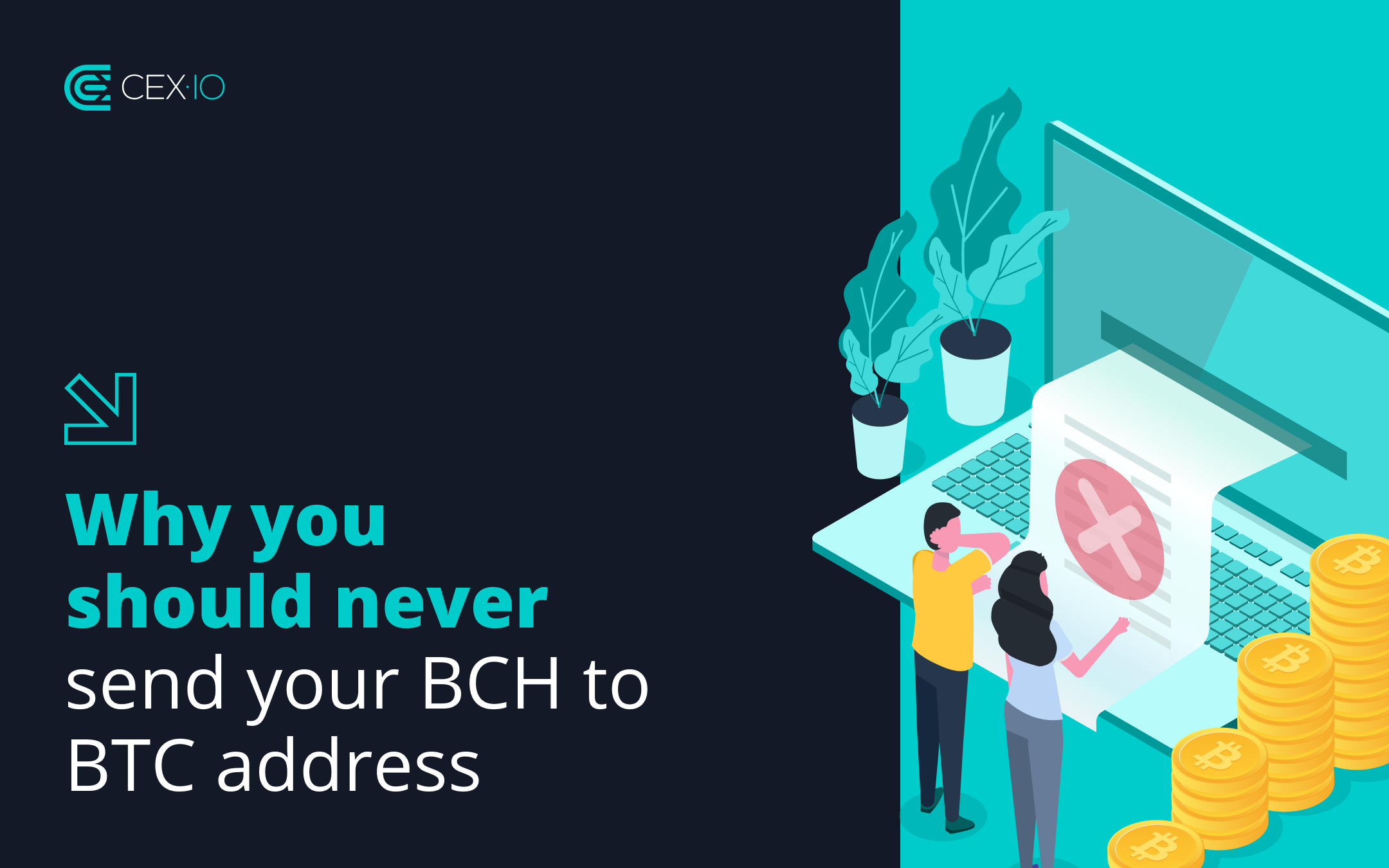bch to btc address