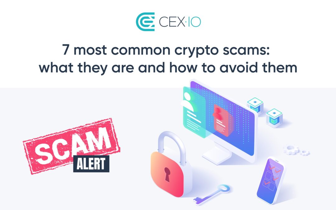report crypto scams