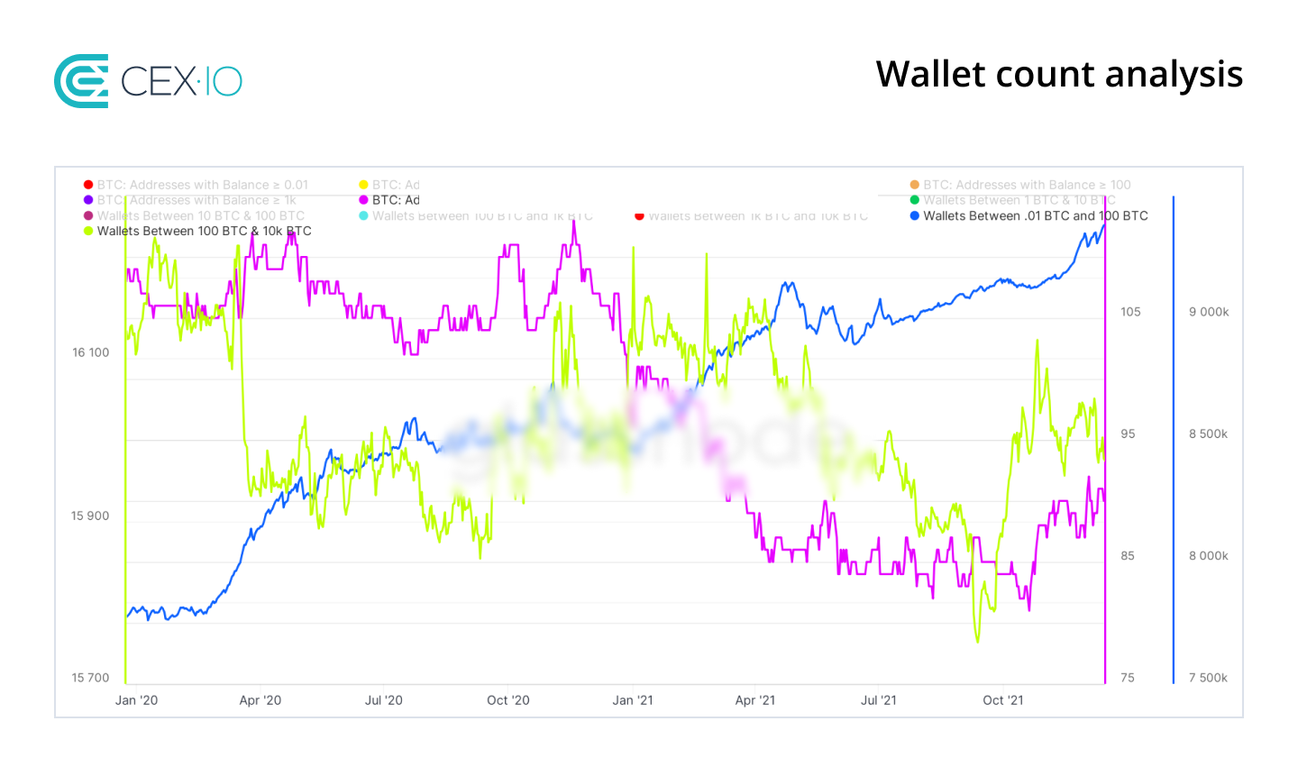 wallet_count_analysis