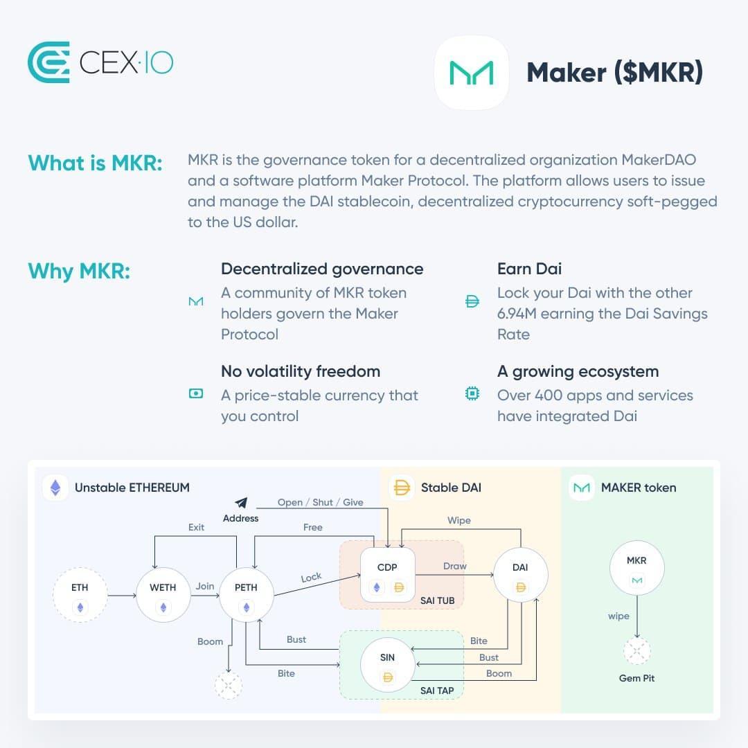 maker_infographic